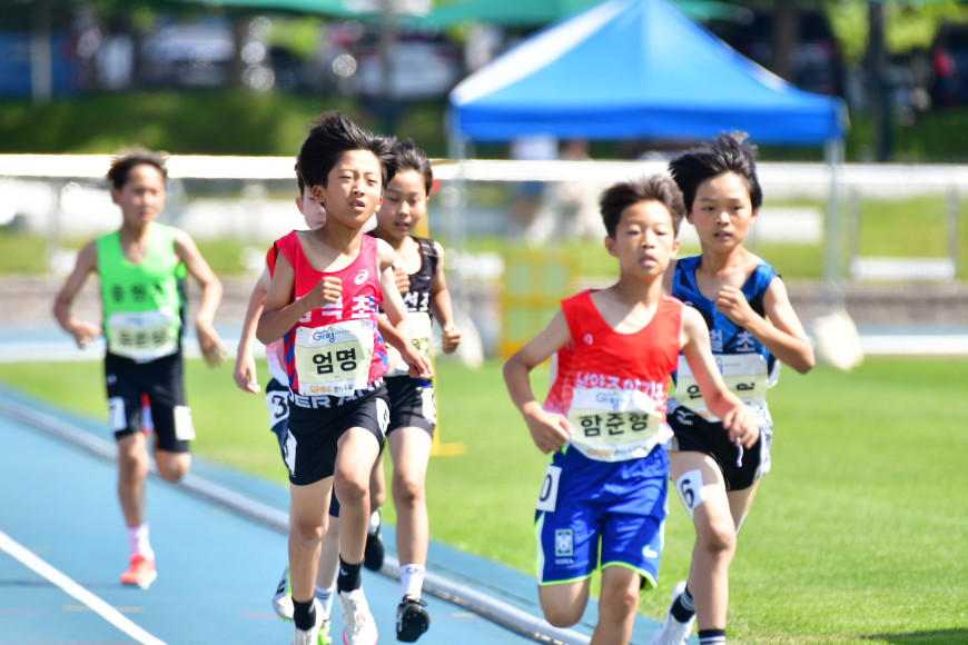 522fc08d67545cee890a5a944fed5fe2_1749629880_3653.JPG